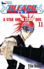 Kubo T.- Bleach 11 - A Star and A Stray Dog
