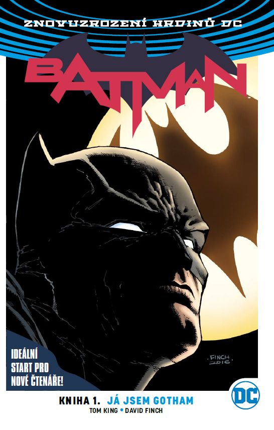 King T.- Znovuzrození hrdinů DC - Batman - Já jsem Gotham