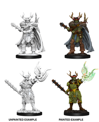  Pathfinder Battles Deep Cuts - Male Half-Orc Druid